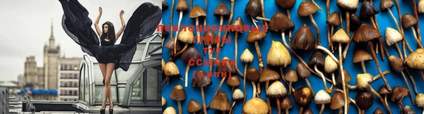MDMA Premium VHQ Осинники