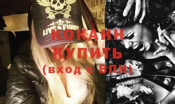 шишки Богородск