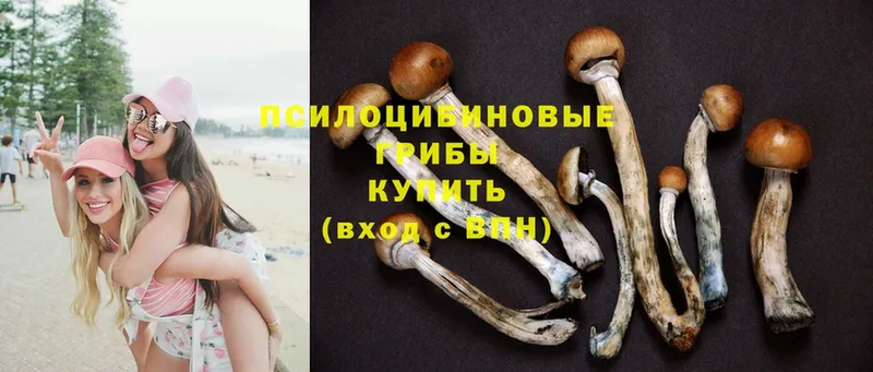 Псилоцибиновые грибы MAGIC MUSHROOMS  Калтан 